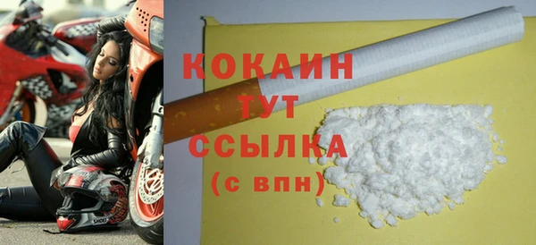 spice Нестеровская