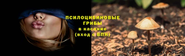 метадон Новодвинск