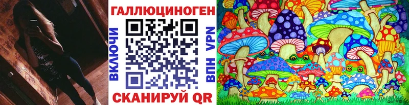 Галлюциногенные грибы Cubensis  Аркадак 